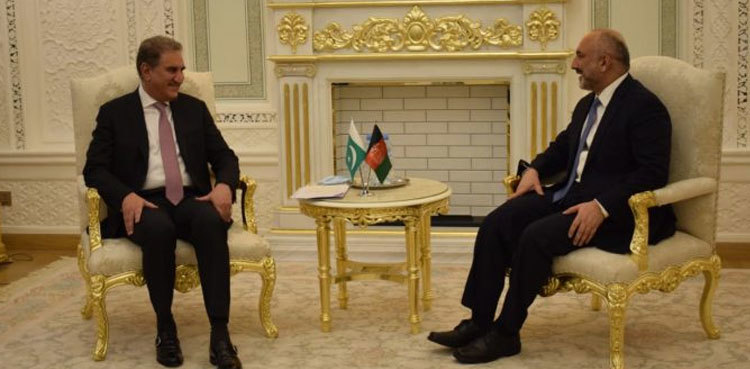 Pakistan will continue to support peaceful, united Afghanistan: FM Qureshi