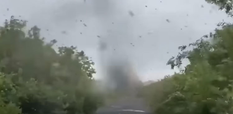 Malaria claims lives of five children in Khairpur