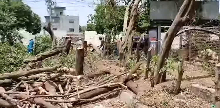 LHC orders to stop cutting of trees, rocks 