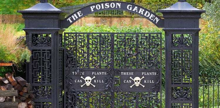 'World's poisonous garden' in UK where plants can kill you !!!