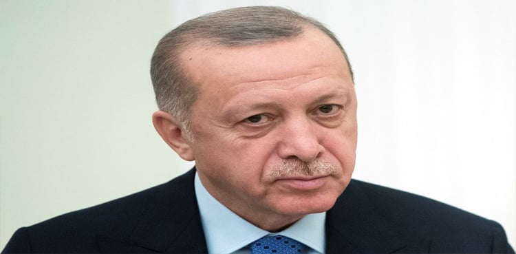 Erdogan says no decision yet on Taliban request for Turkish help at airport