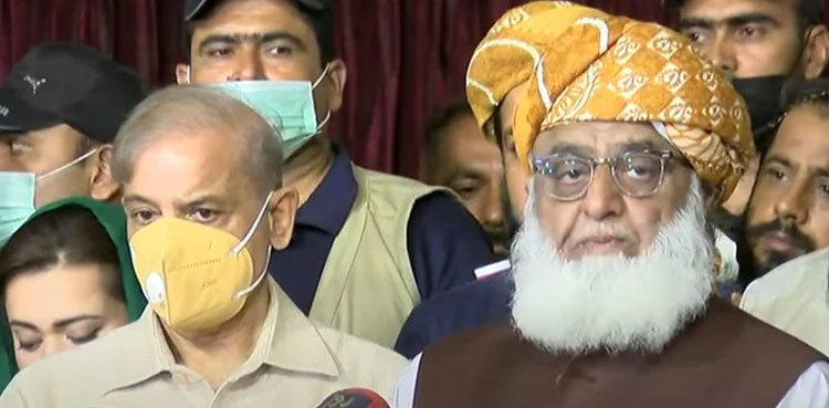 PPP stabbed us in the back: PDM chief