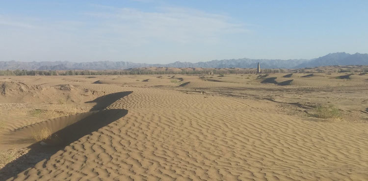 Stop releasing factories' toxic water into Saleh Patt desert: SHC