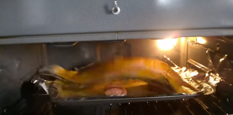 Fish fillet shaking and jumping inside oven, spooky video goes viral