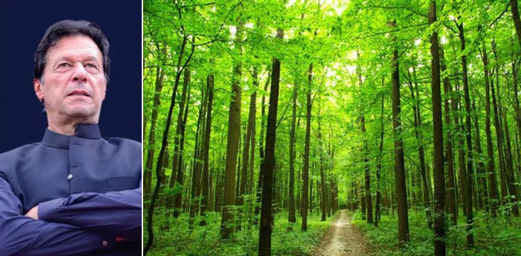 PM Khan to inaugurate world's biggest Miyawaki urban forest today
