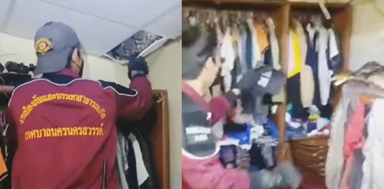 WATCH: Massive snake attacks man while being removed from ceiling