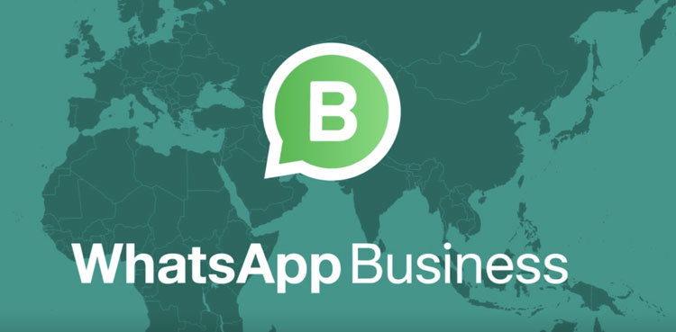 WhatsApp Business's new AI feature enhances user engagement