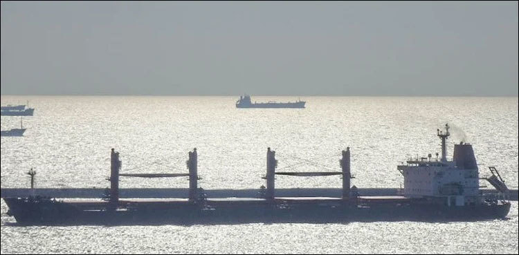 Sugar laden container truck falls into sea at Karachi port