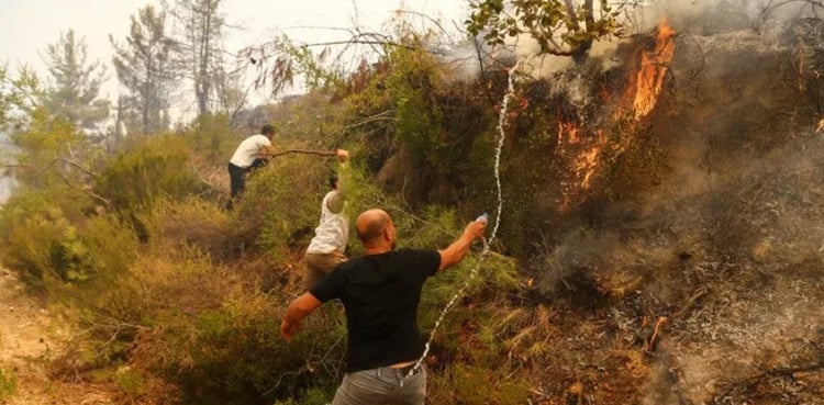 Death toll in Turkey wildfires rises to eight, coastal resorts affected