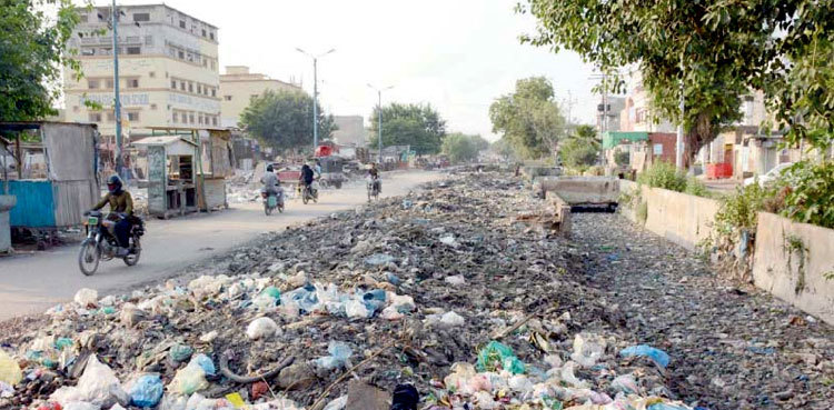 Karachi to become garbage-free city by end of October: minister