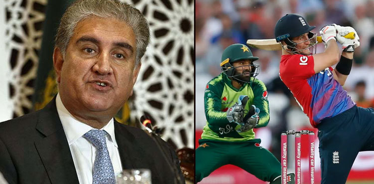 FM Qureshi vows to raise England's tour cancellation issue with UK counterpart