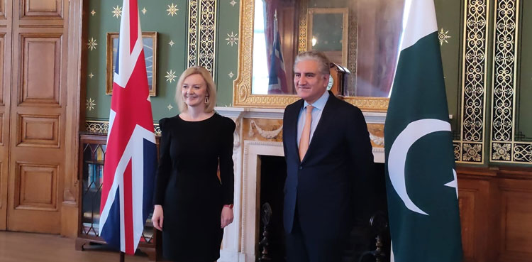 FM Qureshi raises ECB's tour cancellation issue with UK counterpart