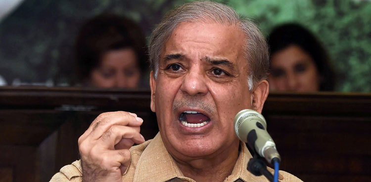 FIA to use Ishaq Dar's confession as testimony against Shehbaz