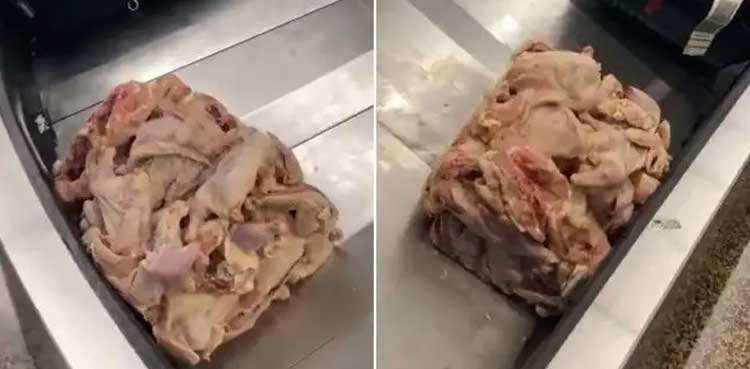 Viral video: Raw chicken takes a luggage belt ride at airport