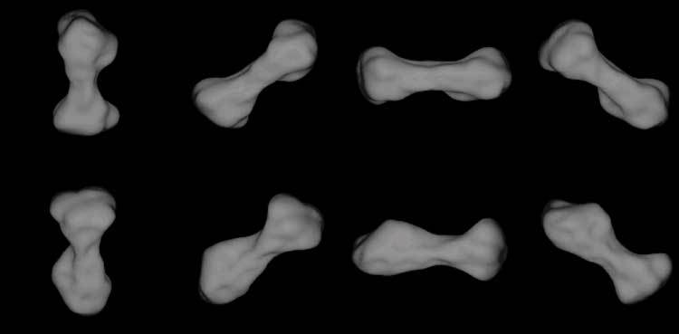 Astronomers spot 'dog-bone' asteroid named Kleopatra in solar system