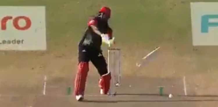 Viral video: Chris Gayle's bat breaks into two pieces