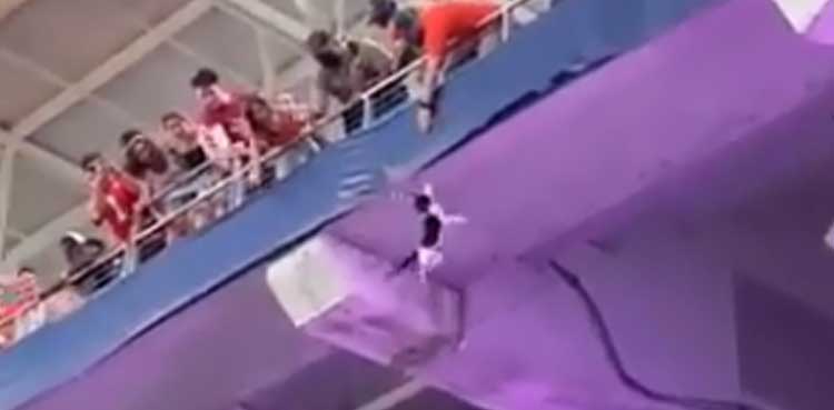 Viral video shows falling cat being rescued during football match
