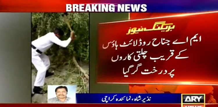 Tree collapses near Light House at Karachi's M.A. Jinnah Road