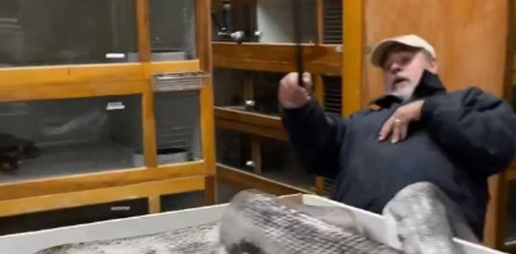 WATCH: 20-foot python bites zookeeper in horrific video
