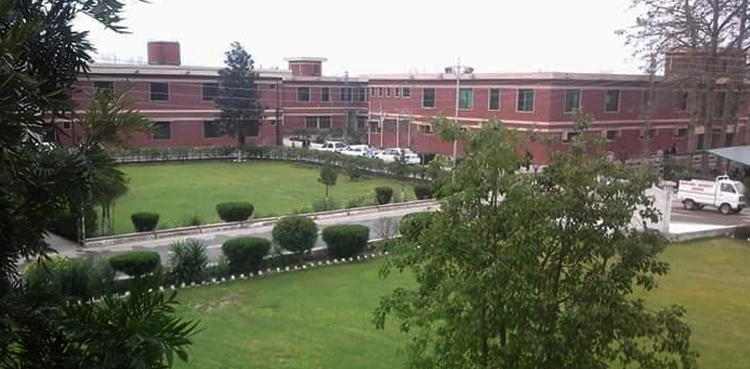 BKUC VC possessed tampered academic degree, alleges assistant professor