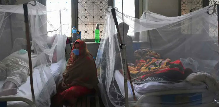Sindh mulls over measures to curb dengue virus outbreak