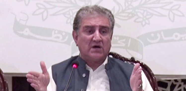 Taliban delegation to visit Pakistan, says Qureshi after Kabul visit