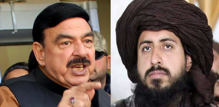 Plan being devised for Saad Rizvi's release, says Sheikh Rasheed