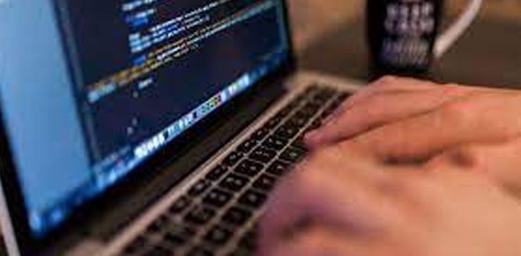 Pakistan's services exports grow 42% in 3 months