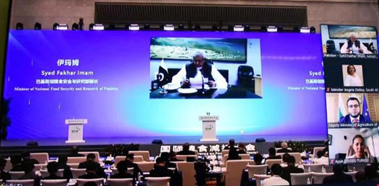 'Healthy forest ecosystems essential for sustainable agriculture production'