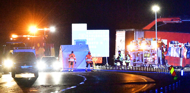 Swedish cartoonist who drew blasphemous caricatures dies in car accident