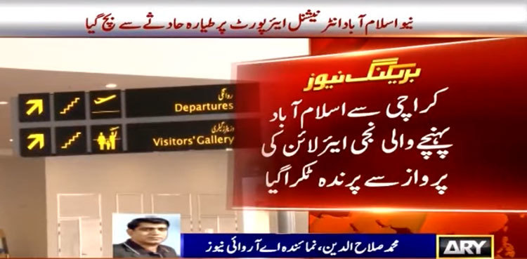 Plane struck by bird before landing at Islamabad airport