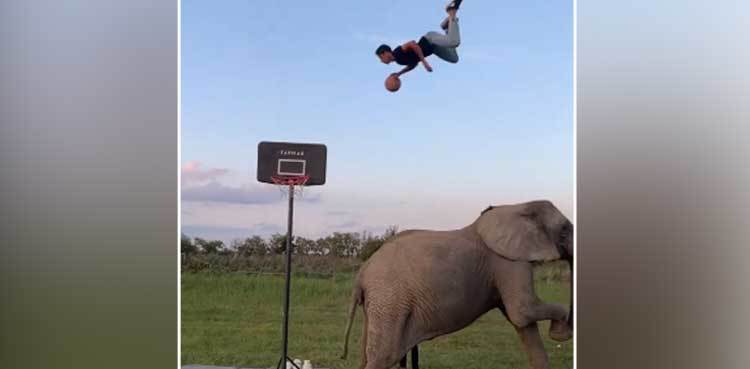 Man pulls off amazing basketball stunt, video goes viral