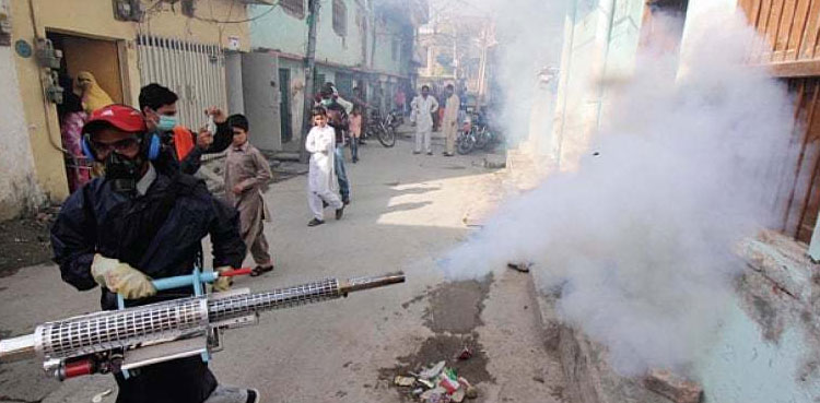 Commissioner Karachi directs to launch anti-dengue drive as cases soar