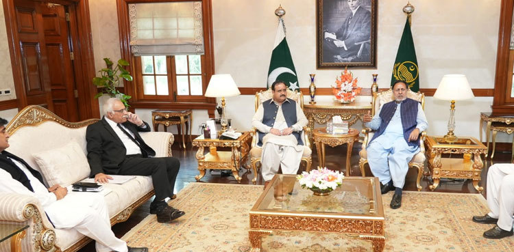 Punjab restores LG institutions across province