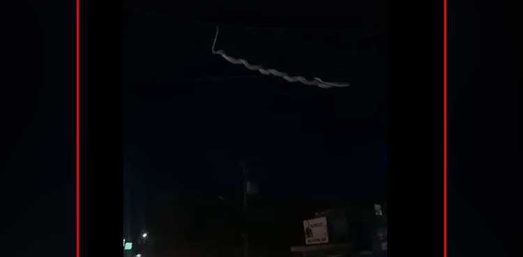 WATCH: Huge snake falls in front of people who were taking its pictures