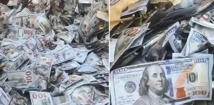 WATCH: Cleaners find massive heaps of 'US dollars' in garbage container