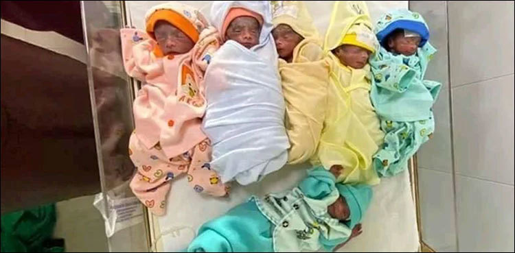 Woman gives birth to seven babies in Abbottabad