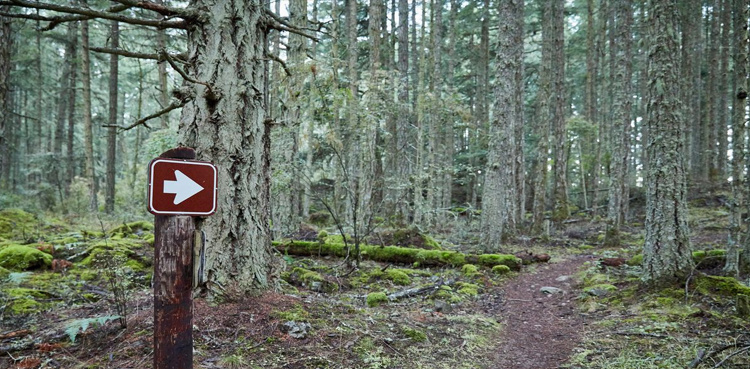 Frightening: Old tomb imitates dead family's dining table