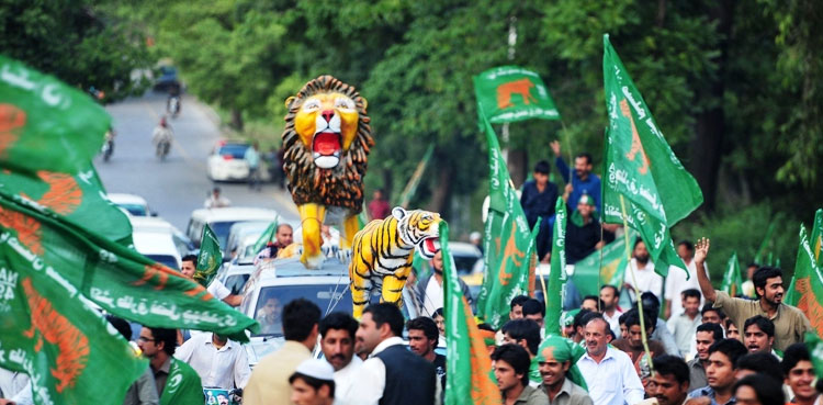 PML-N announces candidate for PP-206 by-election
