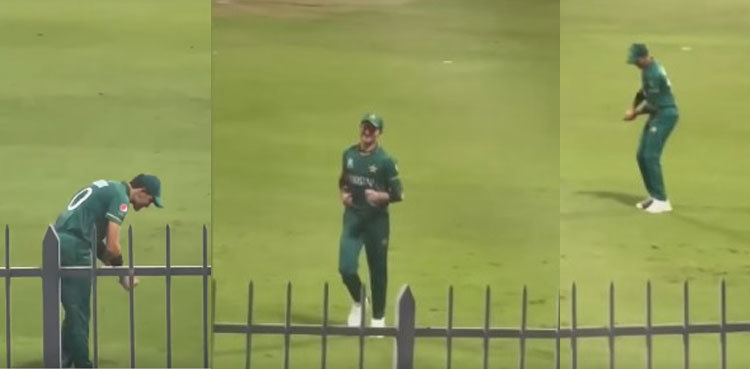 Watch: Shaheen Shah Afridi mimics Indian batters in hilarious video
