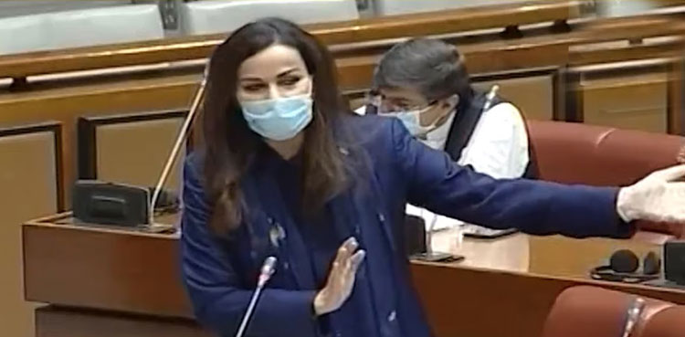 PPP demands govt to public agreement with banned TLP