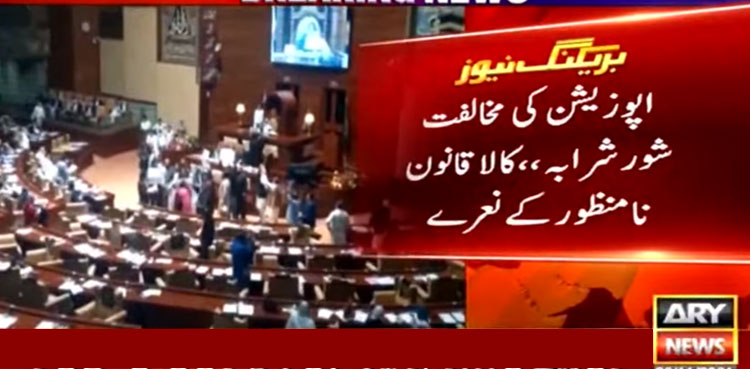 Sindh Assembly passes local government amendment bill 2021