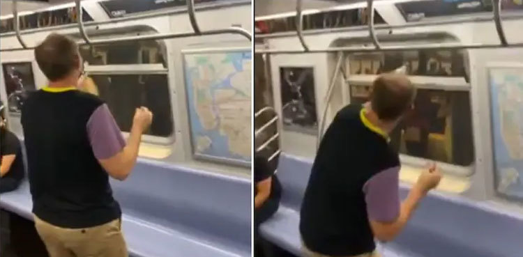 Video: Flying cockroach causes panic, havoc in moving train