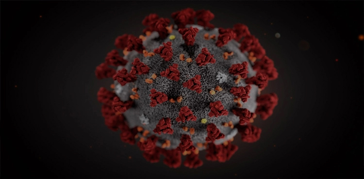 Pakistan records 303 Covid infections, five deaths in a day