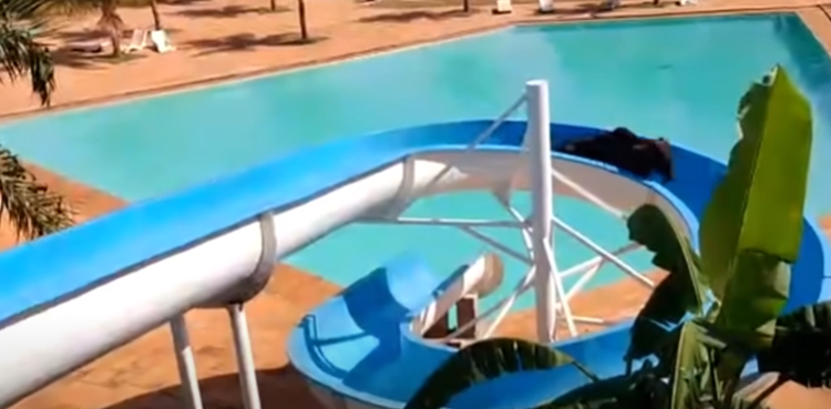 Viral video: Cow escapes from slaughterhouse, rides a slide at water park