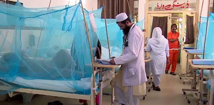 45 more dengue cases surfaced in Islamabad: DHO