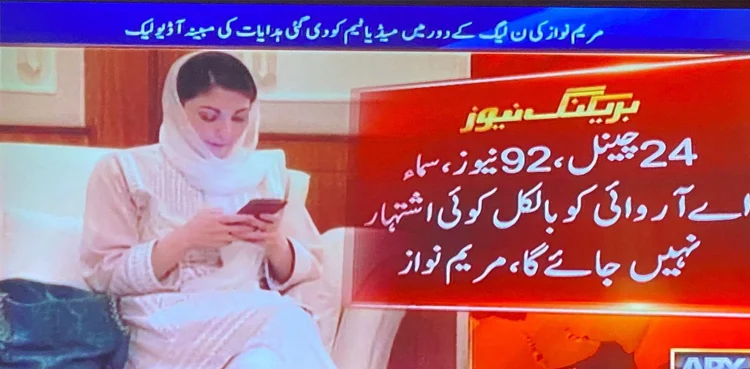 Maryam Nawaz's alleged audio instructing media team comes to light