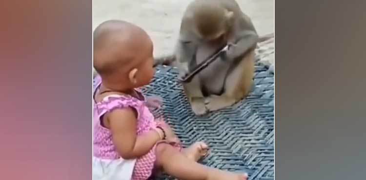 Viral video: Baby & monkey play with mobile phone together