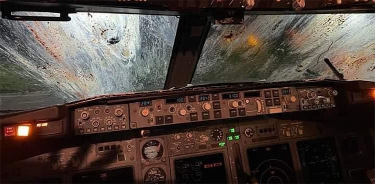 Pilots safely land plane after windscreen smashed by birds flock