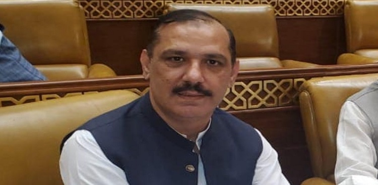 LHC hears plea seeking PTI MPA Bilal Asghar Warraich's disqualification